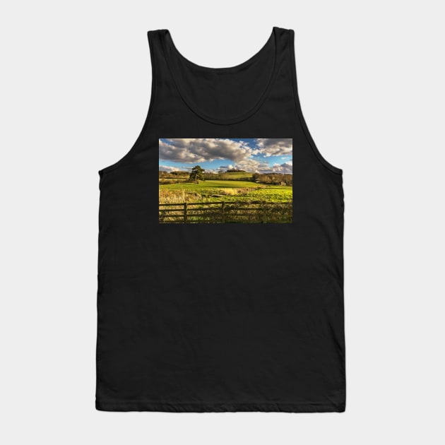 Round Hill From Little Wittenham Tank Top by IanWL